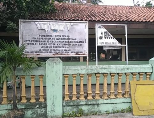 Nestapa SD Negeri: Mengapa Banyak SD Negeri Semakin Sepi dan Bahkan Gulung Tikar?